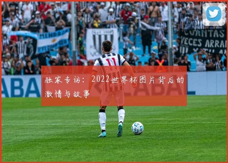 独家专访：2022世界杯图片背后的激情与故事
