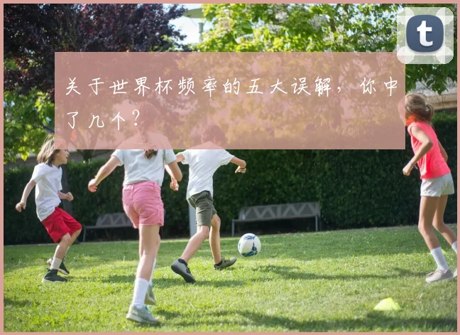 关于世界杯频率的五大误解，你中了几个？