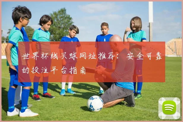 世界杯线买球网址推荐：安全可靠的投注平台指南