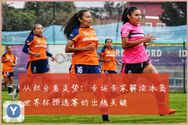 从积分看走势:专访专家解读冰岛世界杯预选赛的出线关键