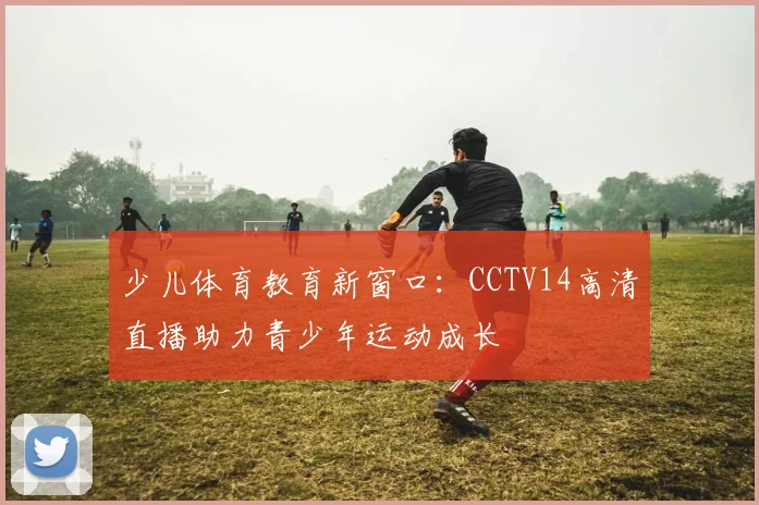 少儿体育教育新窗口:CCTV14高清直播助力青少年运动成长