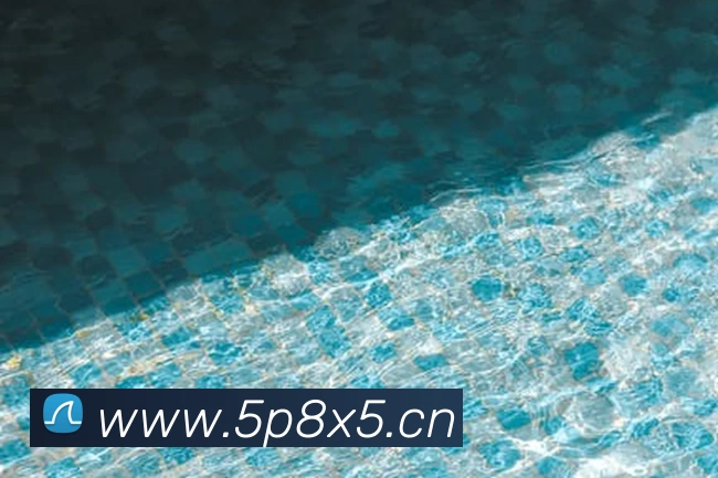 App Interface Preview