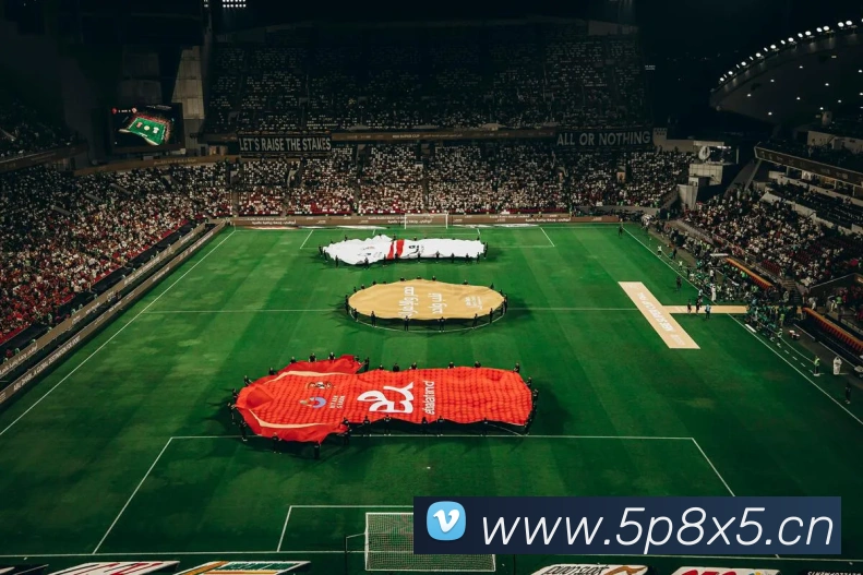 乐鱼体育登录网页入口APP 封面图